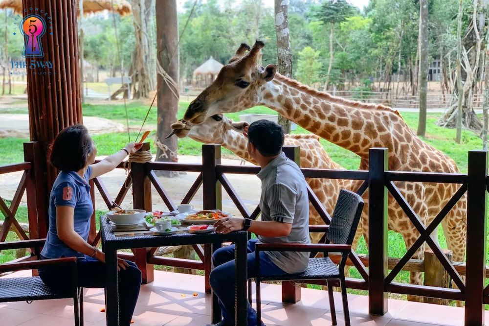 Nhà hàng Giraffe trong khuôn viên safari 