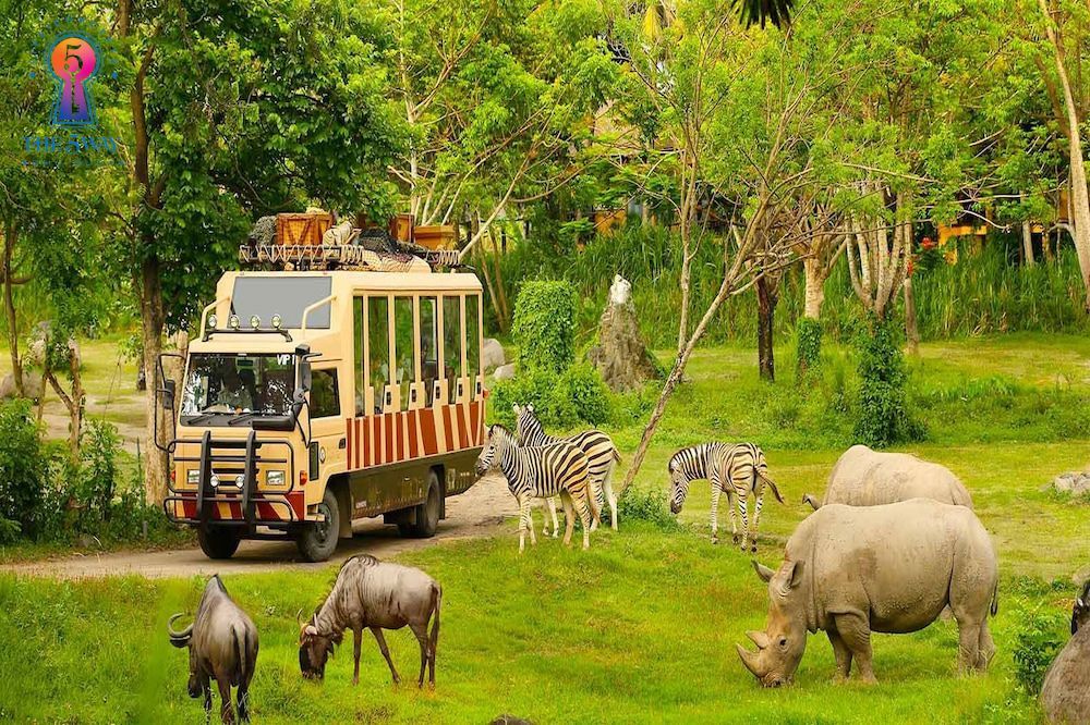 Vinpearl Safari Phú Quốc điểm đến không thể bỏ lỡ 